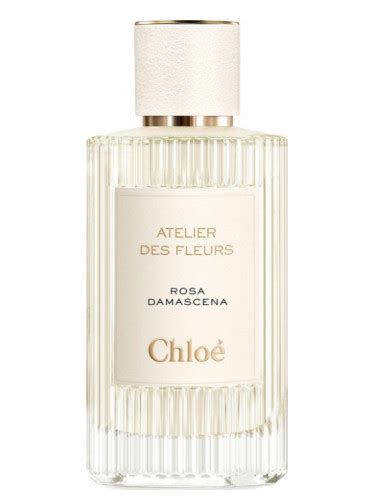 chloe parfum damascena.